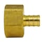 Apollo 1/2 in. Brass PEX Barb x 3/4 in. Female Pipe Thread Adapter APXFA1234 - alternate 6